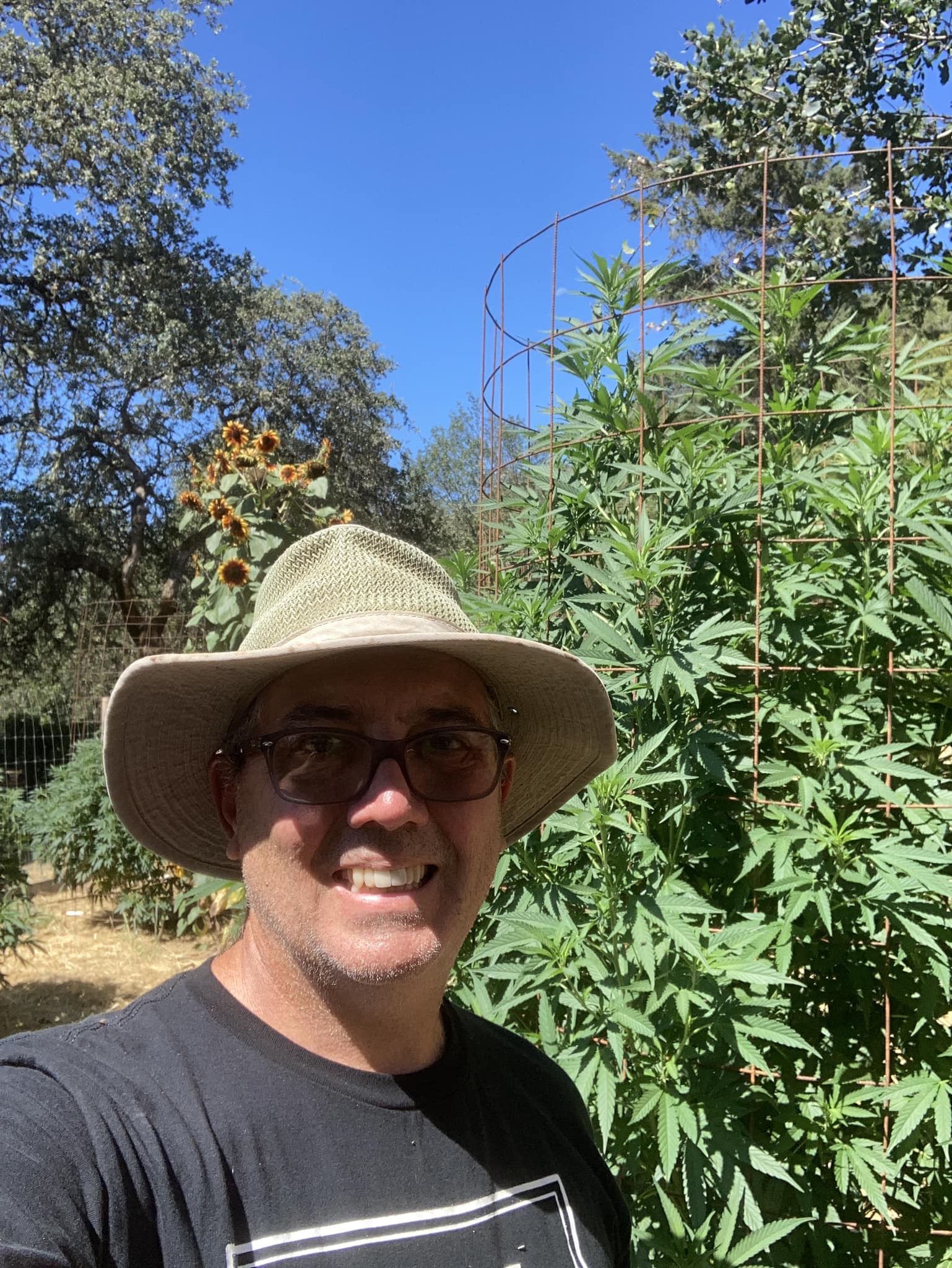 Russell Perrin standing beside a mature outdoor cannabis plant